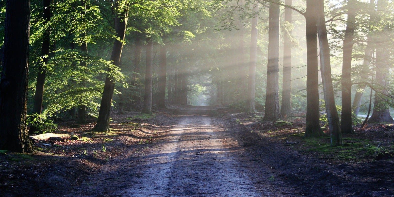 the-road-815297_1920.jpg